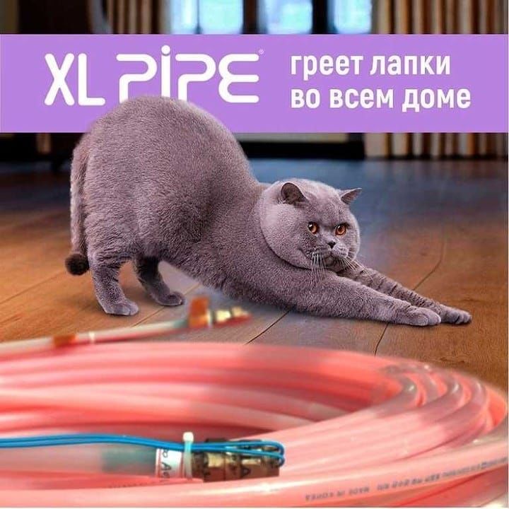 X-PIPE ������ ���