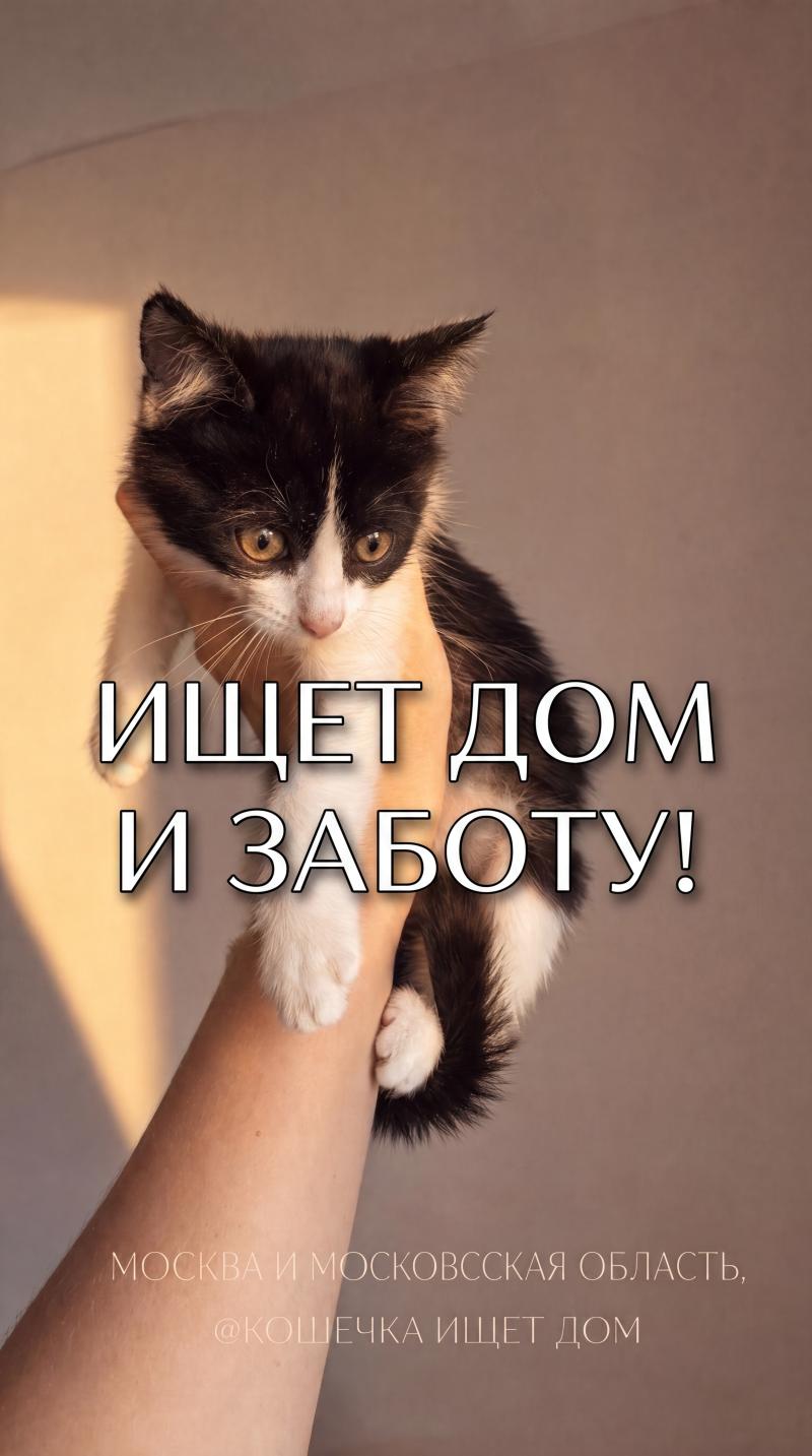 ������ ������� � ������ ����