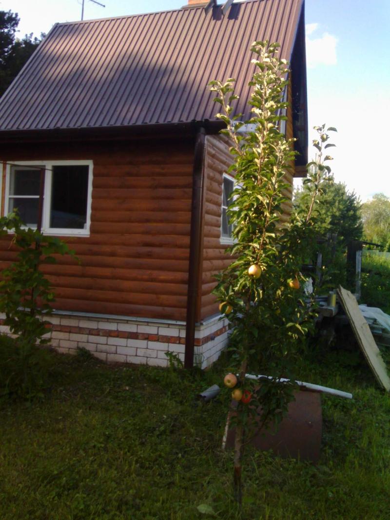 ���� 55 �2 � ��� �����