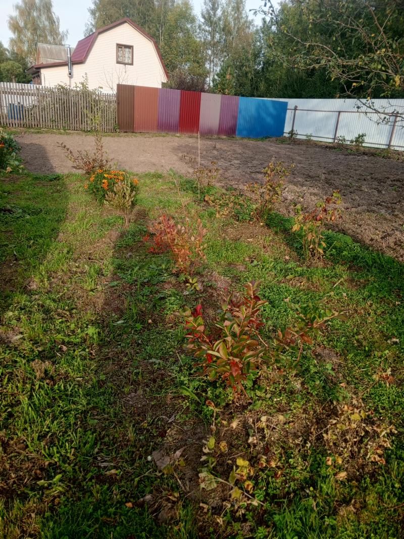 ���� Na14N �2