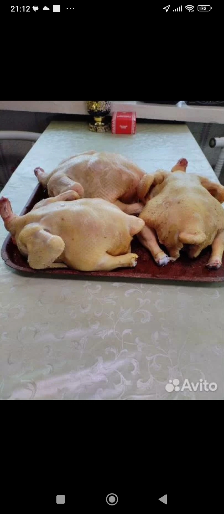 ���� ��������