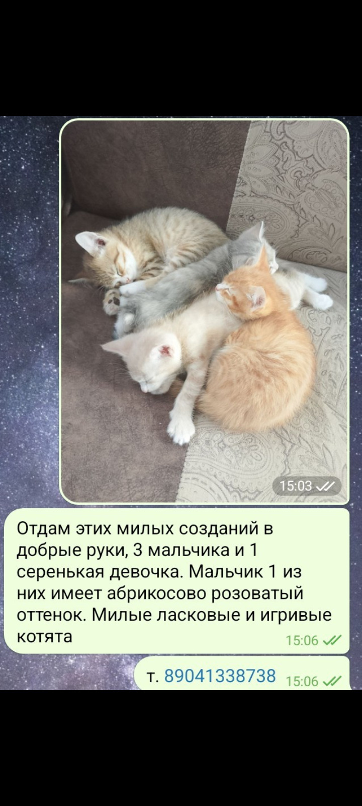 ���������